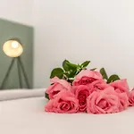 Nona Lejlighed